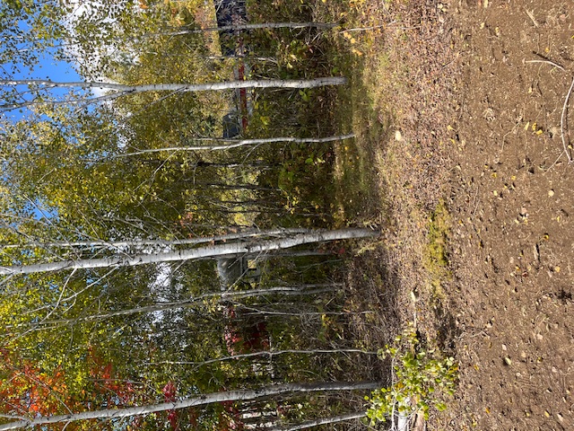 Septic system excavation in Aroostook County